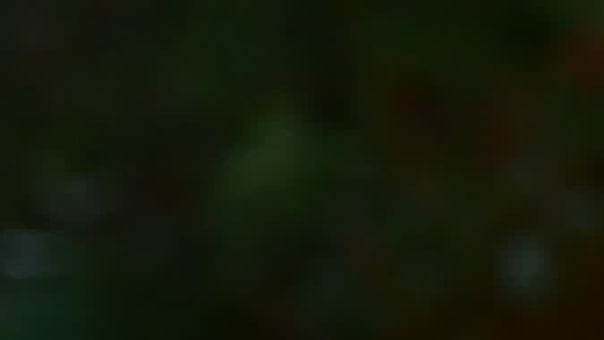 5 pasos para reparar luces intermitentes que parpadean demasiado rápido