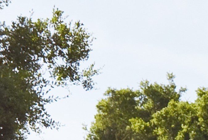 Honda Odyssey 2025: hace que el viaje sea de primera clase