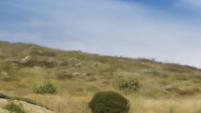 Honda Odyssey 2025: hace que el viaje sea de primera clase