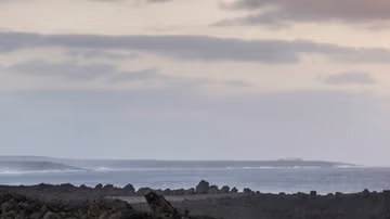 Audi A6 y S6 e-tron 2025