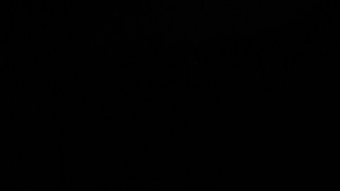 BMW celebra la llegada del nuevo M5 a USA con una edición especial