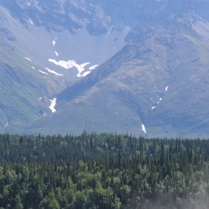 Adrenalina y destrucción de autos: una loca tradición del 4 de julio