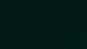 Aston Martin lanza una versión especial del SUV más potente del mundo