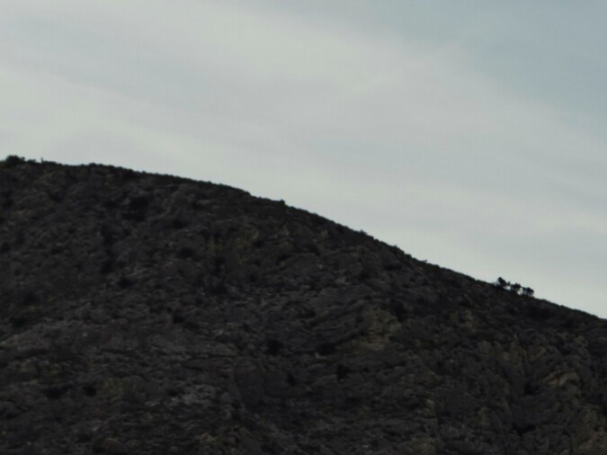 Audi presenta los nuevos modelos A5 sin convertibles ni cupés