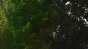 Cadillac Escalade 2025 lleva el lujo americano a un nivel superior