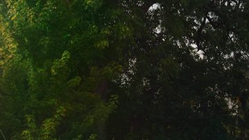 Cadillac Escalade 2025 lleva el lujo americano a un nivel superior