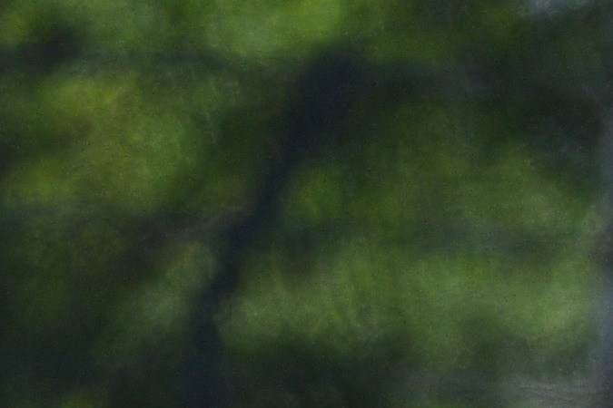 Los 10 autos más rápidos en el Festival de la Velocidad de Goodwood