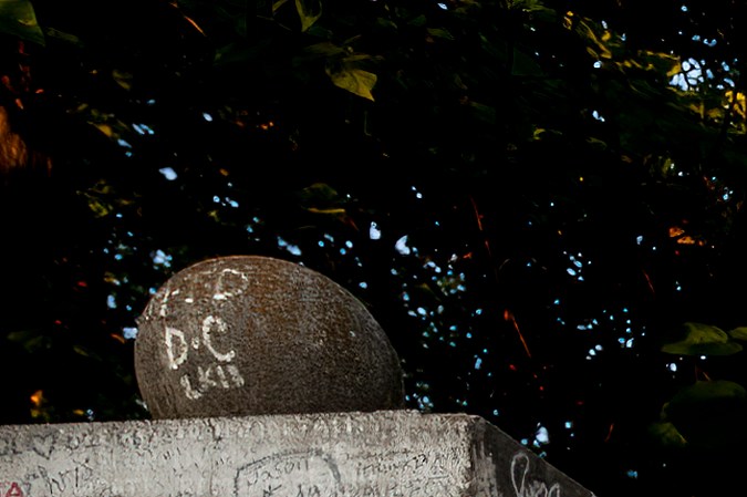 Triumph T120 Elvis Presley: la moto que condensa la esencia de 1965