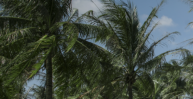 China se atreve con la gama premium y lanza un "Rolls-Royce"