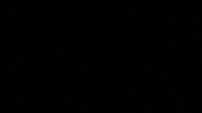 Triumph T120 Elvis Presley: la moto que condensa la esencia de 1965