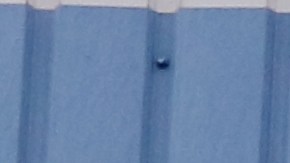 Michelin vs. Pirelli: cuál es mejor y por qué