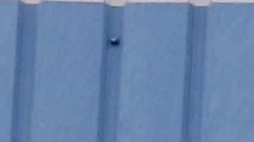 Michelin vs. Pirelli: cuál es mejor y por qué