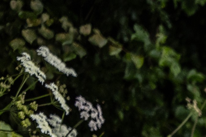 Ford presenta el Raptor T1: su arma secreta para el Rally Dakar