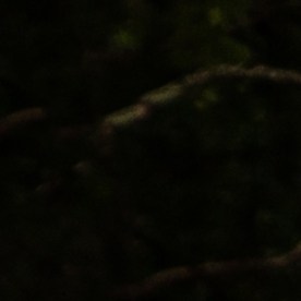 Toyota Sequoia 2025: así será la nueva SUV premium japonesa