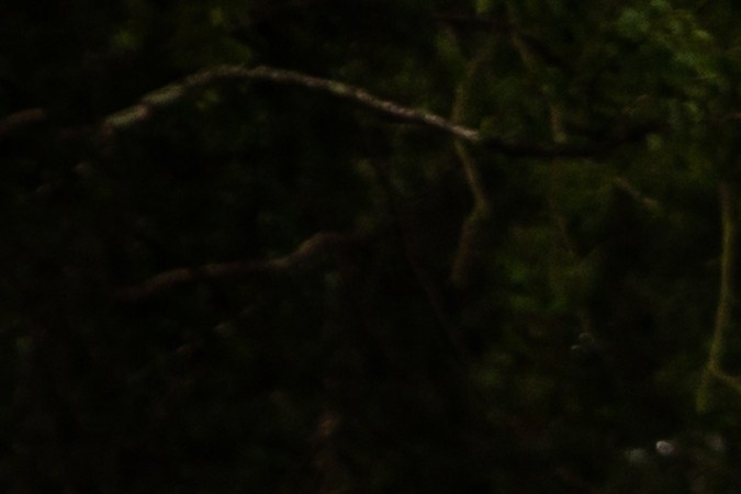 Toyota Sequoia 2025: así será la nueva SUV premium japonesa