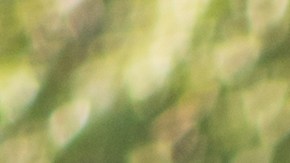 3 consejos para llegar a la gasolinera si conduces con la reserva