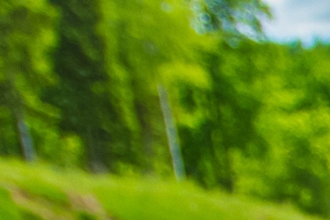 Qué es la autobesidad