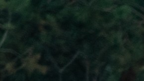 carreteras más peligrosas de la florida