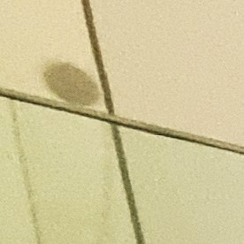 Top 10 de los autos que manejan los futbolistas