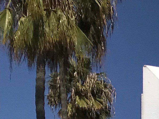 DMV California estrena nuevo portal web de seguridad vial