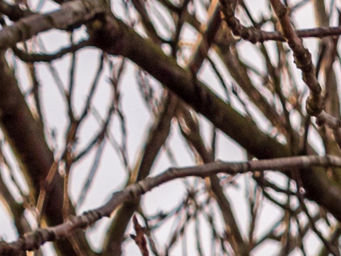 errores en el examen de manejo usa