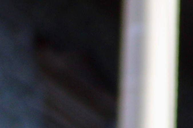 disfraces para carros para halloween