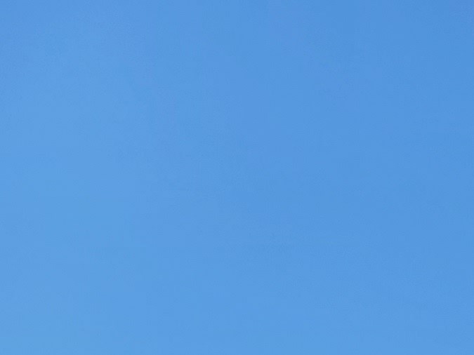 carros decorados para halloween