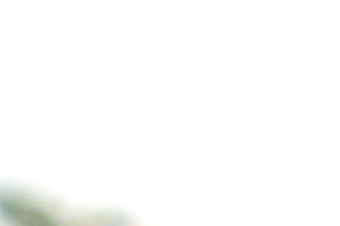 carros decorados de halloween

