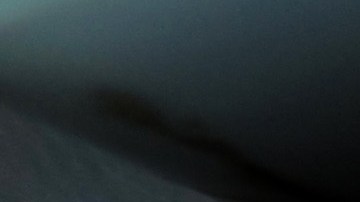 a los cuantos puntos te suspenden la licencia