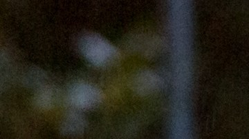 Cómo reaccionar si los faros de tu auto fallan en plena conducción