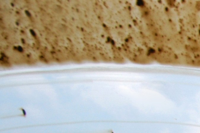 ¿Es peligroso conducir un auto sucio? Descubre por qué