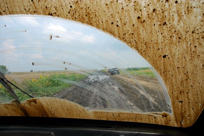 Опасно ли ездить на грязном автомобиле? Узнайте, почему