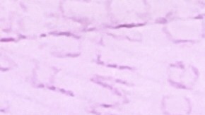 tabla de puntos licencia de conducir en nueva york