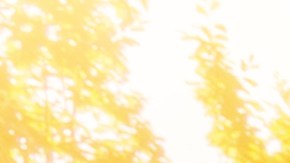 margen de error de los radares