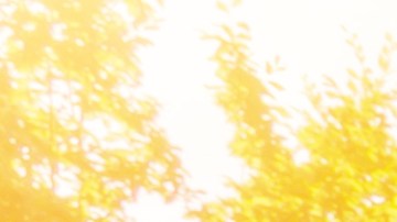 margen de error de los radares