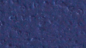 nueva licencia para indocumentados en Illinois