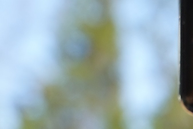 vehículos prohibidos new york