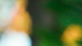 vehículos prohibidos new york