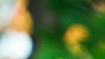 vehículos prohibidos new york