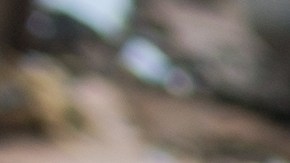 yonkes mission texas