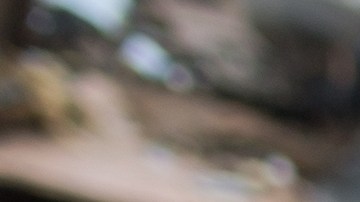 yonkes mission texas