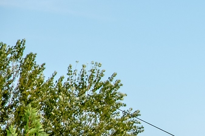 yonkes en nashville tn