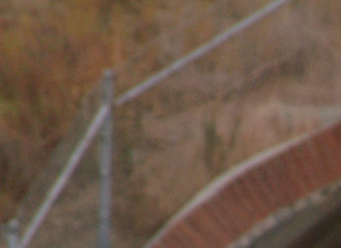 Toyota se prepara para la vuelta del icónico Celica en 2025