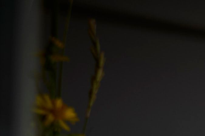 Ford Transit Custom Nugget lleva a un nuevo nivel de camping