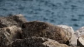 Mercedes-Benz CLE Cabriolet 2024