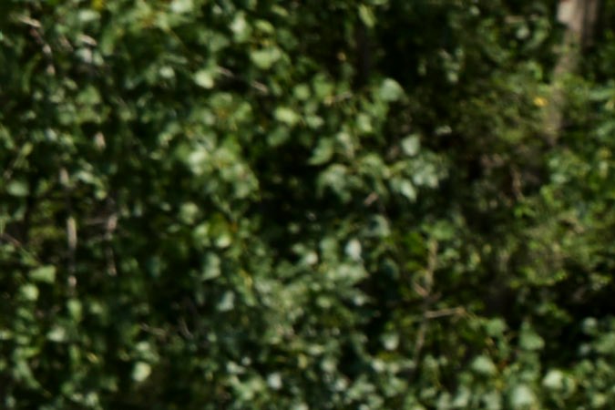 Ford Bronco Sport 2025