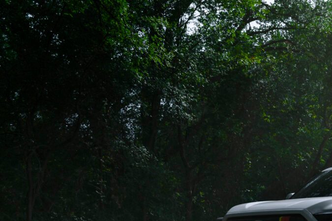 Toyota Tundra 2025 adquiere más fuerza con paquete TRD Rally