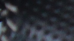 Cómo funciona la caja de cambios S tronic y por qué es ideal