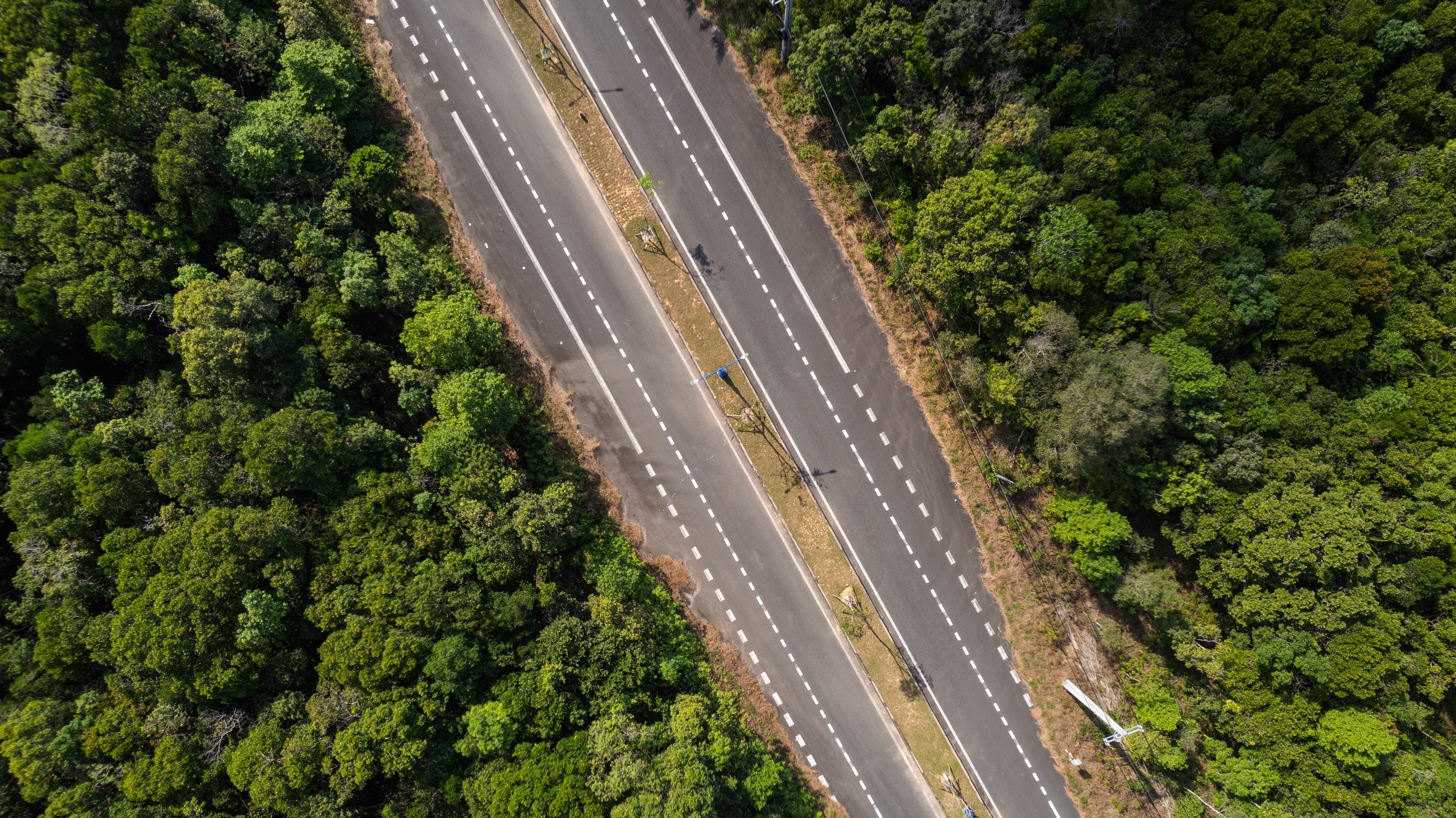 Guía sobre carriles trenzados: qué son y cómo usarlos