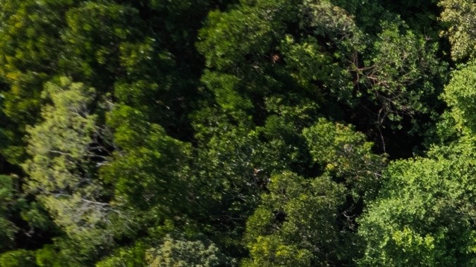 Guía sobre carriles trenzados: qué son y cómo usarlos